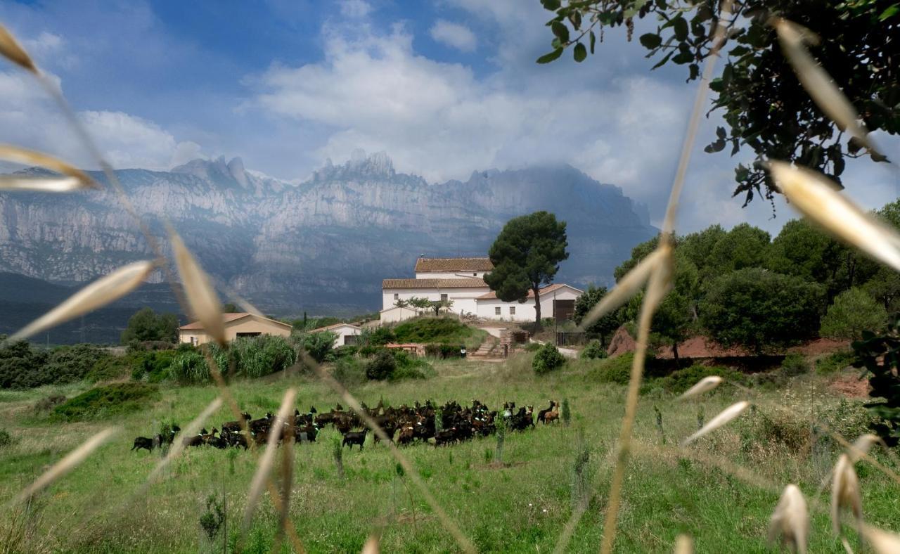 La Frasera Alojamiento Rural Vacarisas Esterno foto